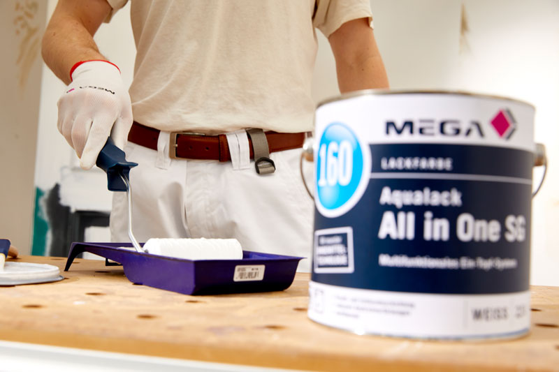 Bild MEGA 160 Aqualack All in One SG Anwendung 