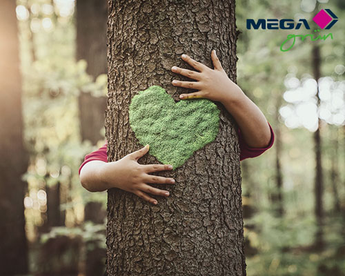 Bild MEGAgrüner Familienzuwachs