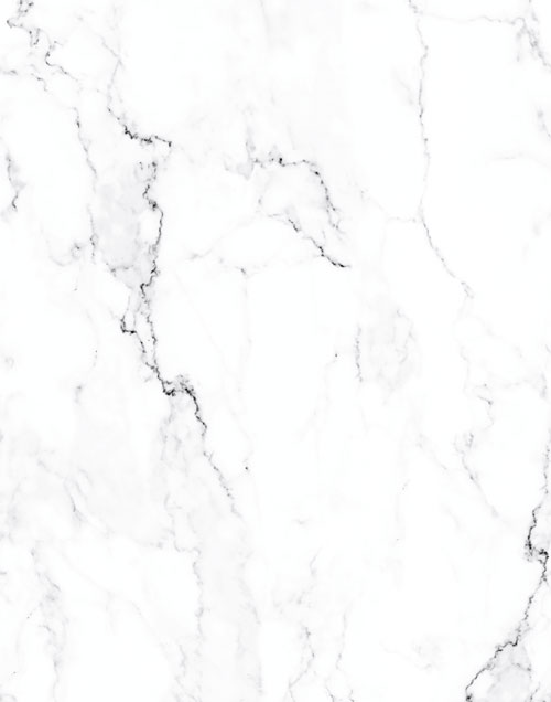 Bild Tapete MEGA Charisma 5645